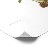 Poster Amaryllis picta (Coin)