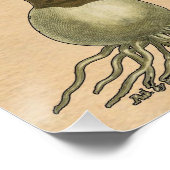 Poster Amaryllis Tulip Jardin Botanique Fleur (Coin)