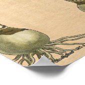 Poster Amaryllis Tulip Jardin Botanique Fleur (Coin)