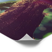 POSTER AMATEUR DE CACAO - TOUCAN (Coin)