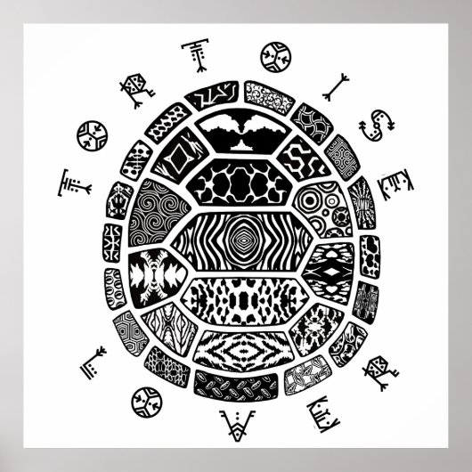 POSTER AMATEUR DE TORTUE 1 (Devant)