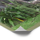 Poster Amateurs 3 (Coin)