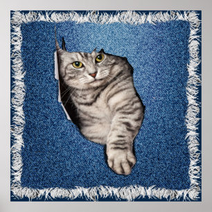 Poster Amateurs de Housepets