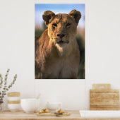Poster Amateurs de lions lioness (Cuisine)