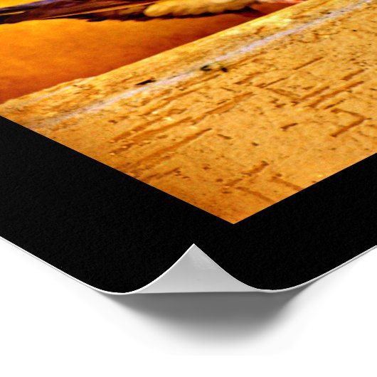 Poster Amateurs de pigeon (Coin)