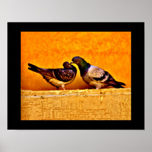 Poster Amateurs de pigeon