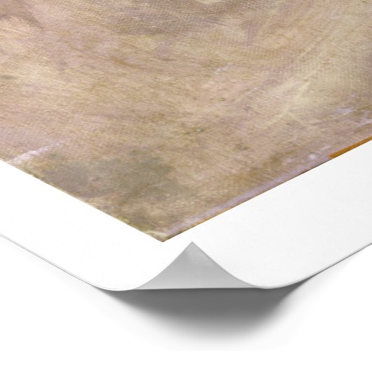 Poster Amazon, 1882 (Coin)