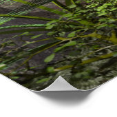 Poster Amazonie (Coin)