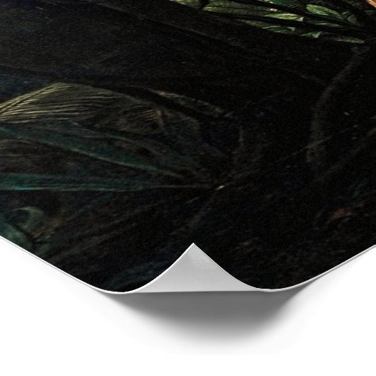 Poster Amazonie (Coin)