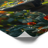 Poster Amber Autumn Bliss (Coin)