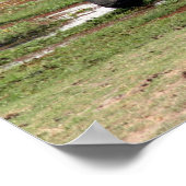 Poster amboseli (Coin)