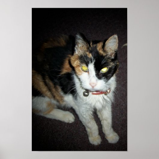 Poster ambre (Devant)