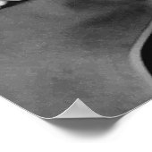 Poster Ambrose Burnside et ses frères (Coin)