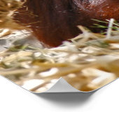 Poster "Âme" (Coin)