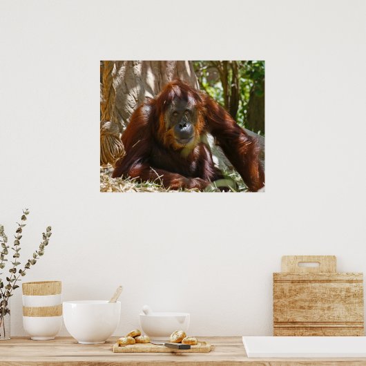 Poster "Âme" (Cuisine)