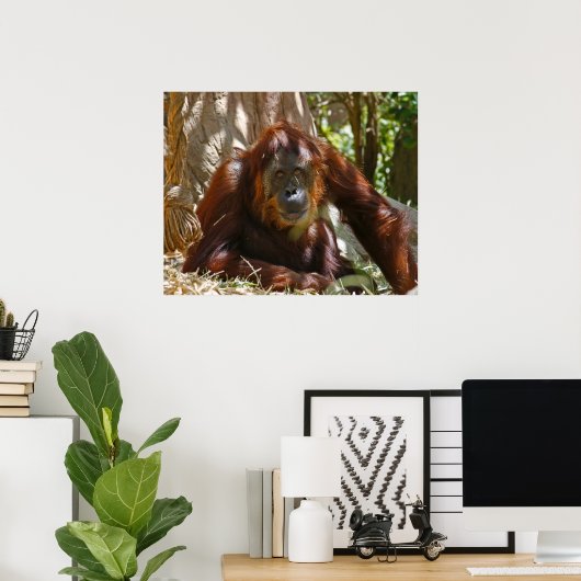 Poster "Âme" (Bureau à domicile)