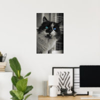 Âme d'Azur Yeux Bleus Chat Noir et Blanc Beaux-Art