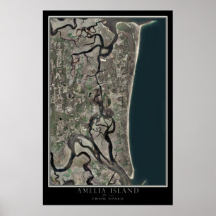 Poster Amelia Island Floride De L'Espace Carte Satellite