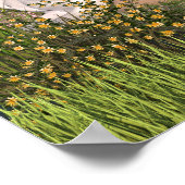 Poster Amelia Rose Fairy and Unicorn (Coin)