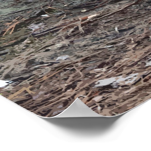 Poster américain Alligator (Coin)