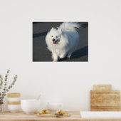 poster américain eskimo (Cuisine)