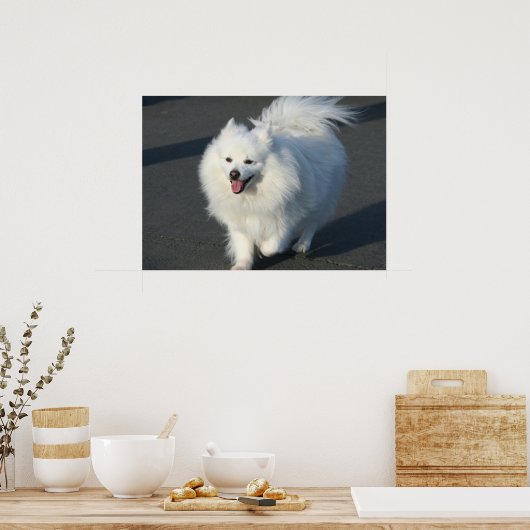 poster américain eskimo (Cuisine)