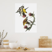 Poster Américain Goldfinch (Cuisine)