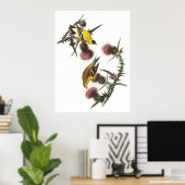 Poster Américain Goldfinch (Bureau à domicile)