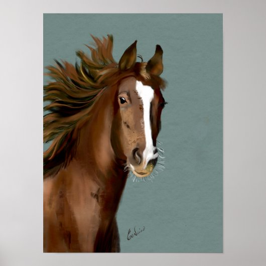 Poster américain Saddlebred (Devant)