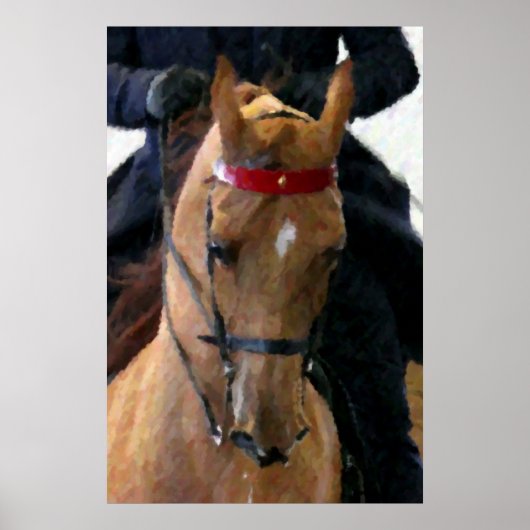 Poster américain Saddlebred Horse Imprimer (Devant)