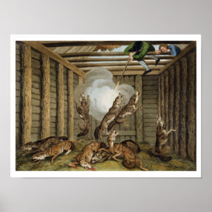 Poster American Anecdote : Tirer sur les loups, gravé par