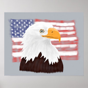 Poster American Bald Eagle and Flag - transparent sur gri