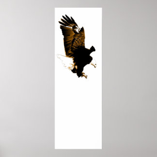 Poster American Bald Eagle Landing