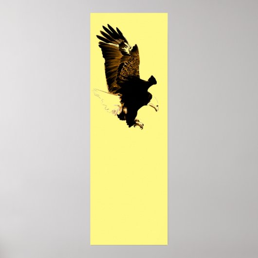 Poster American Bald Eagle Landing (Devant)