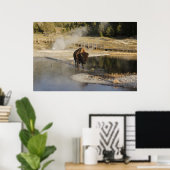 Poster American Bison Yellowstone Wildlife Photography (Bureau à domicile)