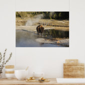 Poster American Bison Yellowstone Wildlife Photography (Cuisine)