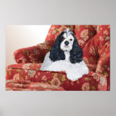 Poster American Cocker Spaniel en Red Chair (Devant)