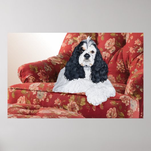 Poster American Cocker Spaniel sur Chaise Rouge (Devant)