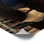 Poster "American Cowgirl" (Coin)