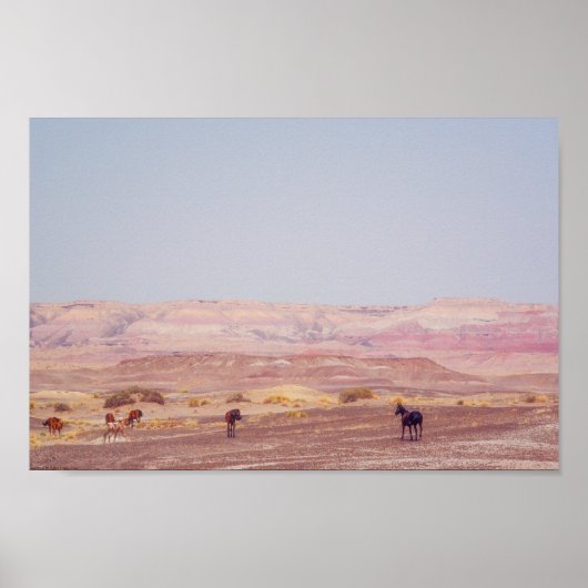 Poster American Desert Horses P8670 (Devant)