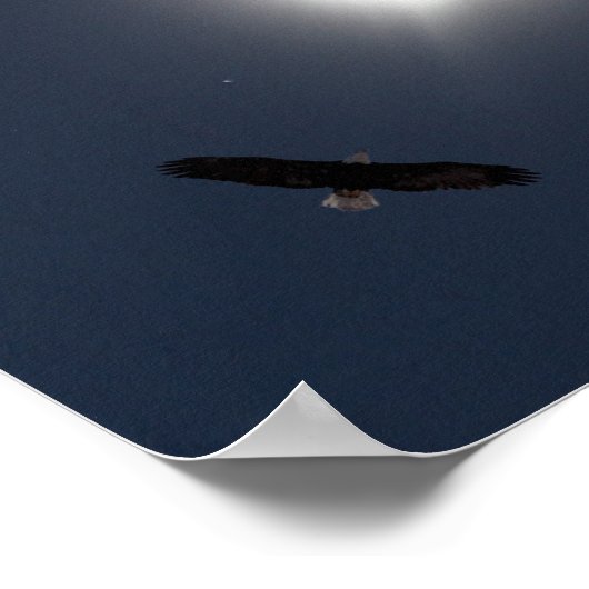 Poster American Eclipse 21 août 2017 (Coin)