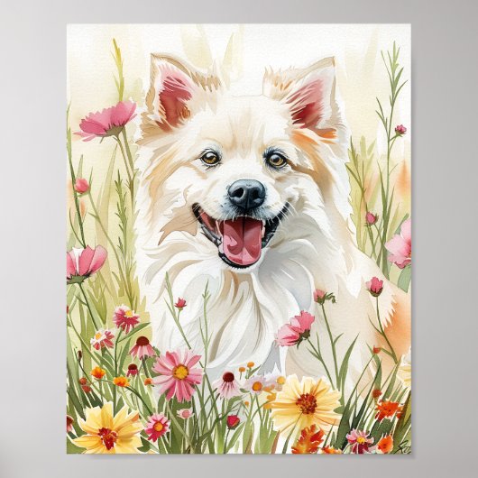 Poster American Eskimo Dog Watercolor Wall Art Imprimer (Devant)