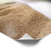 Poster American Eskimo on Beach, cadeau d'été pour amoure (Coin)