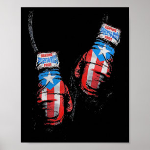 Poster American Flag Boxing Usa Gants Salle De Sport Boxe