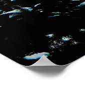 Poster American Flag in Snow (Coin)