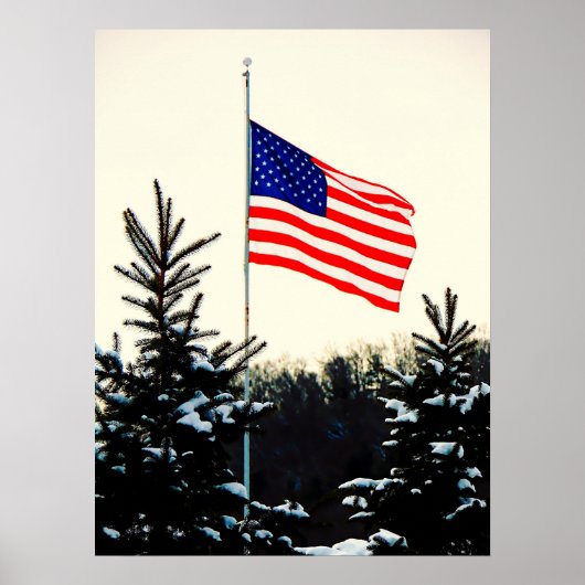 Poster American Flag in Snow (Devant)