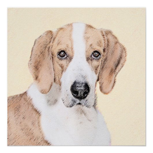 Poster American Foxhound Painting - Joli art original chi (Devant)