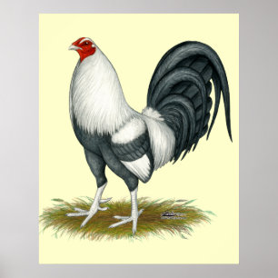Poster American Game Silver Blue Gamecock