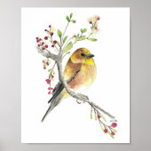 Poster American Goldfinch Bird Watercolor Art Imprimer (Devant)