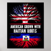 Poster American Grown With Haitian Roots Usa Flag Haiti (Devant)